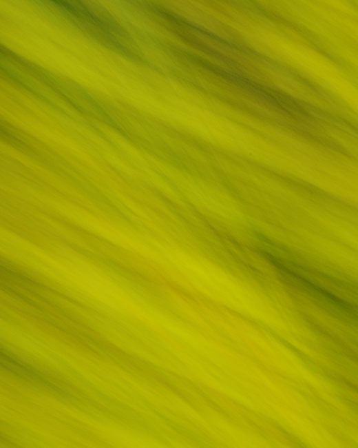 Gestalt-thérapeute biarritz